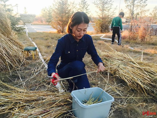 鄉村 李佳琦 們年入幾十萬的秘密